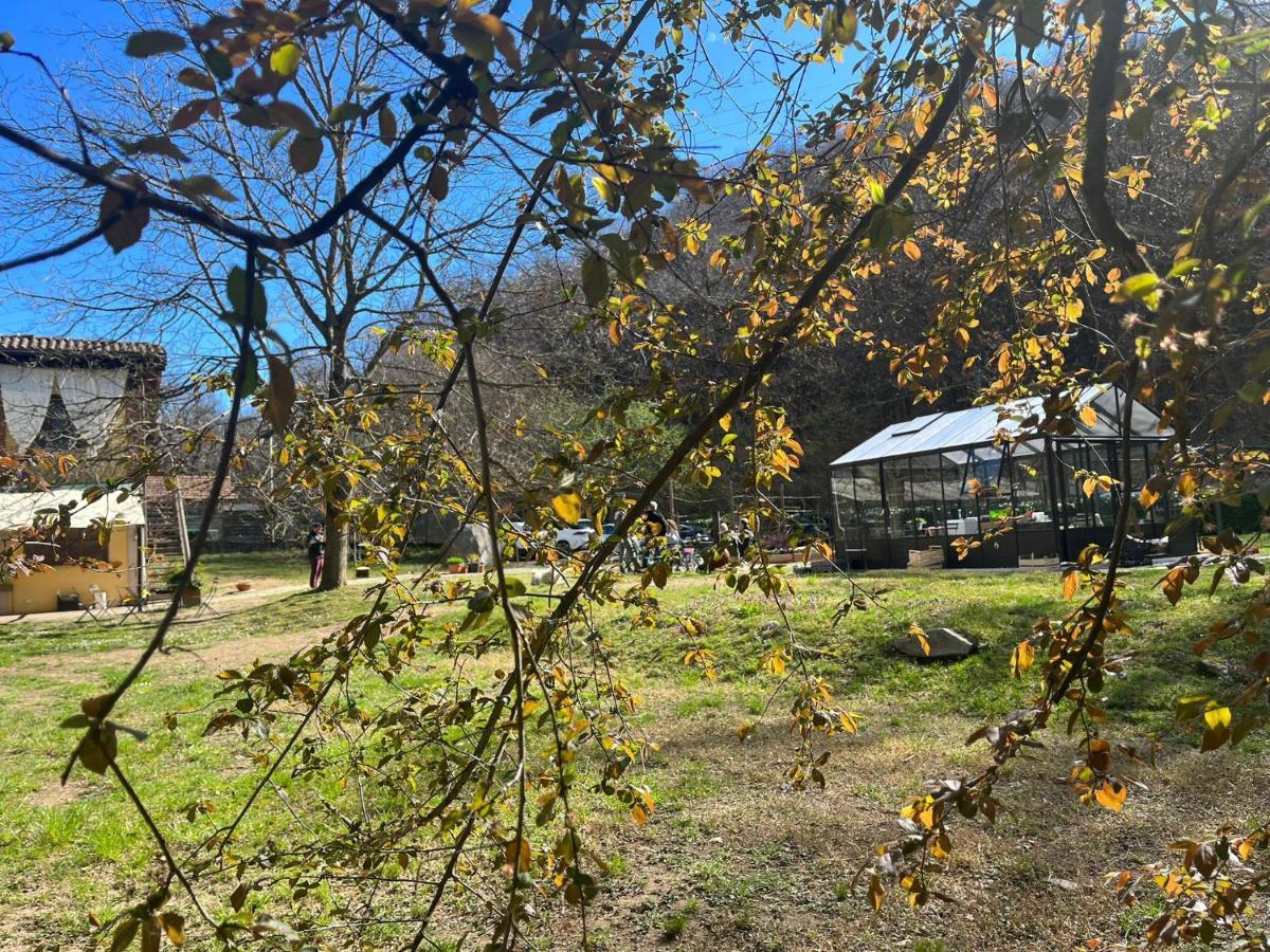 Biomatto Farm stay Arona